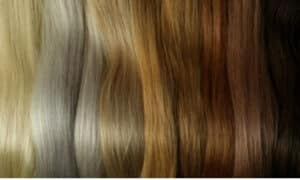 tutte le varie tonalità di capelli dal più chiaro al più scuro