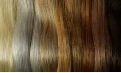 tutte le varie tonalità di capelli dal più chiaro al più scuro